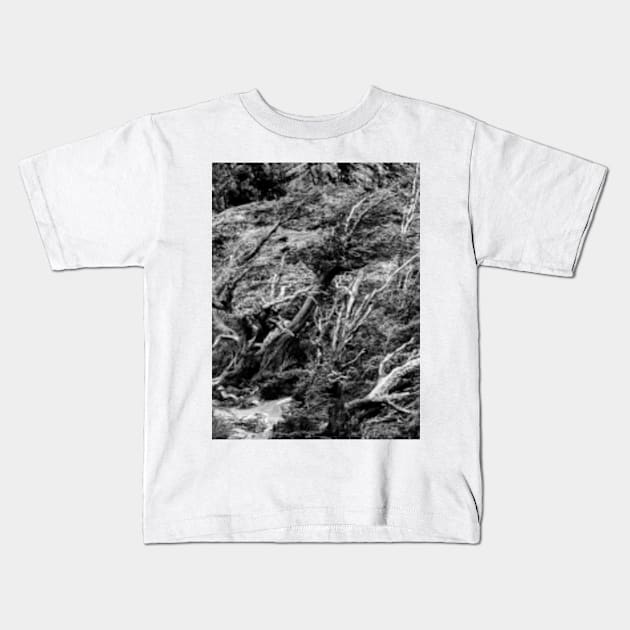 Patagonian Woodland Kids T-Shirt by Femaleform